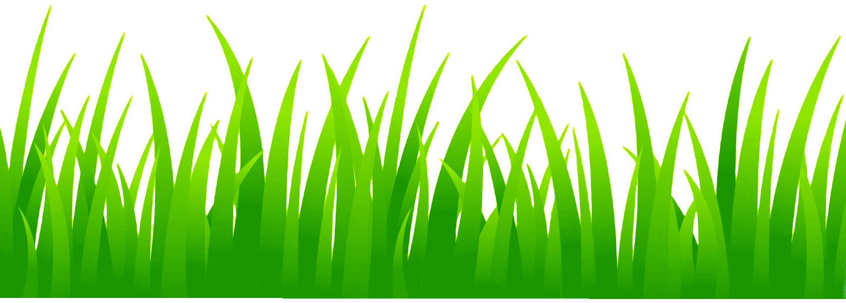 brin d'herbe dessiné