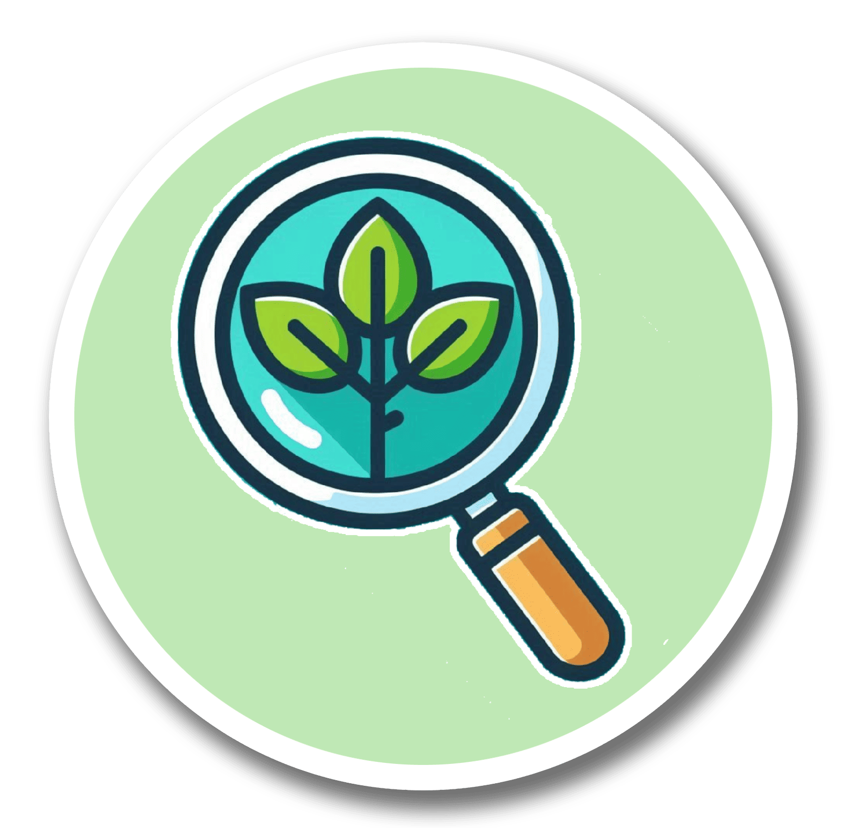 icone loupe pour valider la recherche