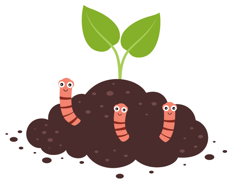 vers sortant d'un compost